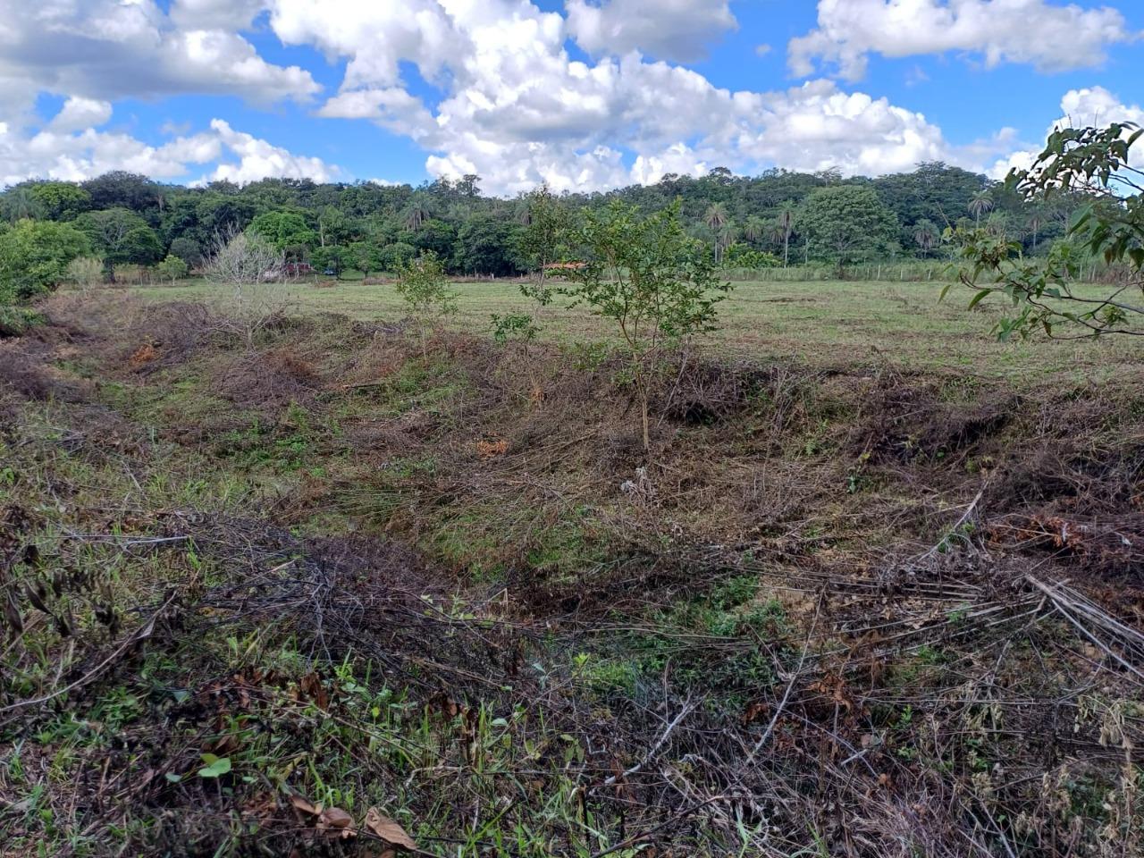 Fazenda, 2 hectares - Foto 9