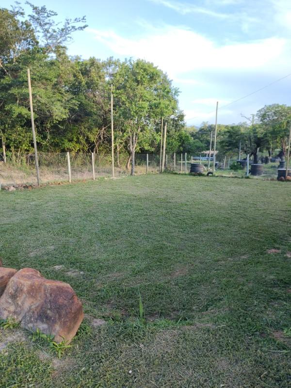 Fazenda, 2000 m² - Foto 20