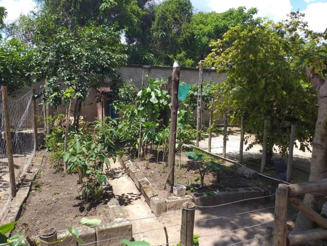 Fazenda, 950 m² - Foto 10