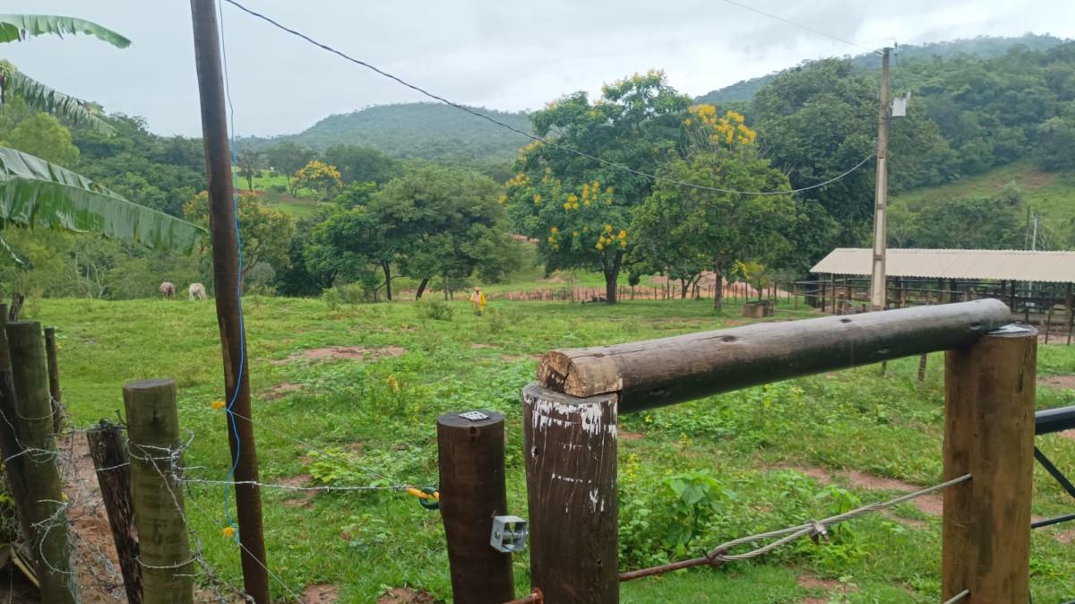Fazenda, 19 hectares - Foto 10