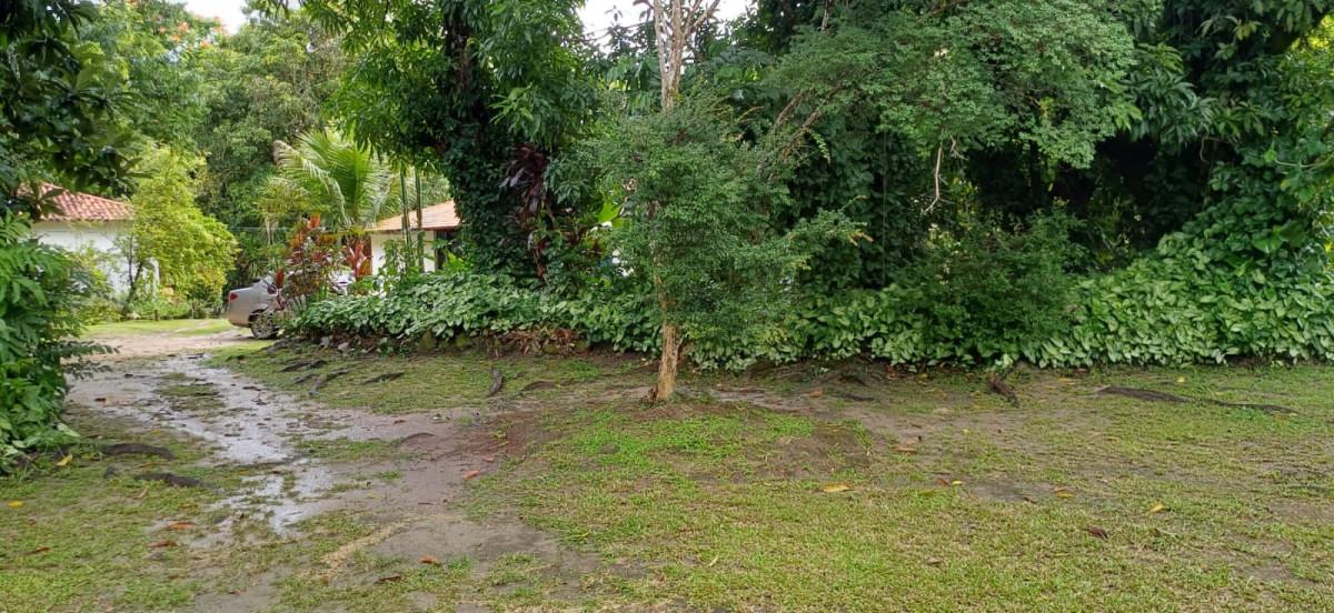 Sítio, 3 quartos, 2 hectares - Foto 11