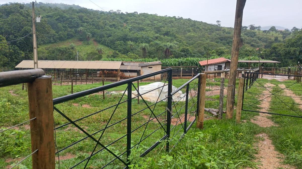 Fazenda, 19 hectares - Foto 11