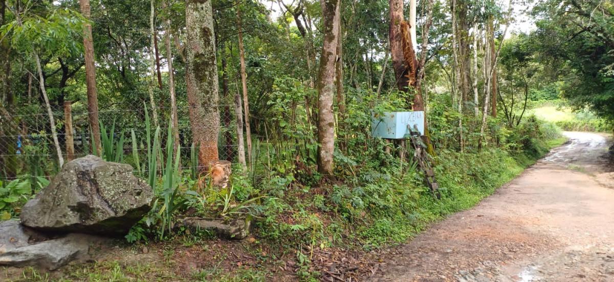 Sítio, 3 quartos, 2 hectares - Foto 13