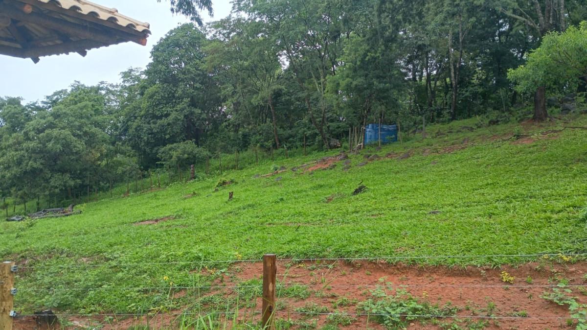 Fazenda, 19 hectares - Foto 14