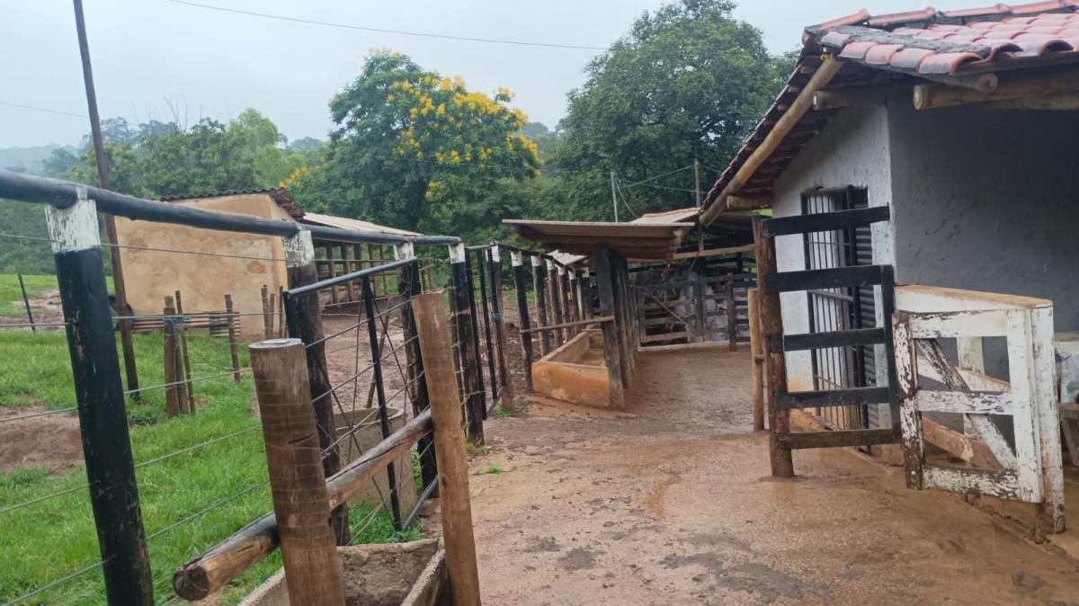 Fazenda, 19 hectares - Foto 15
