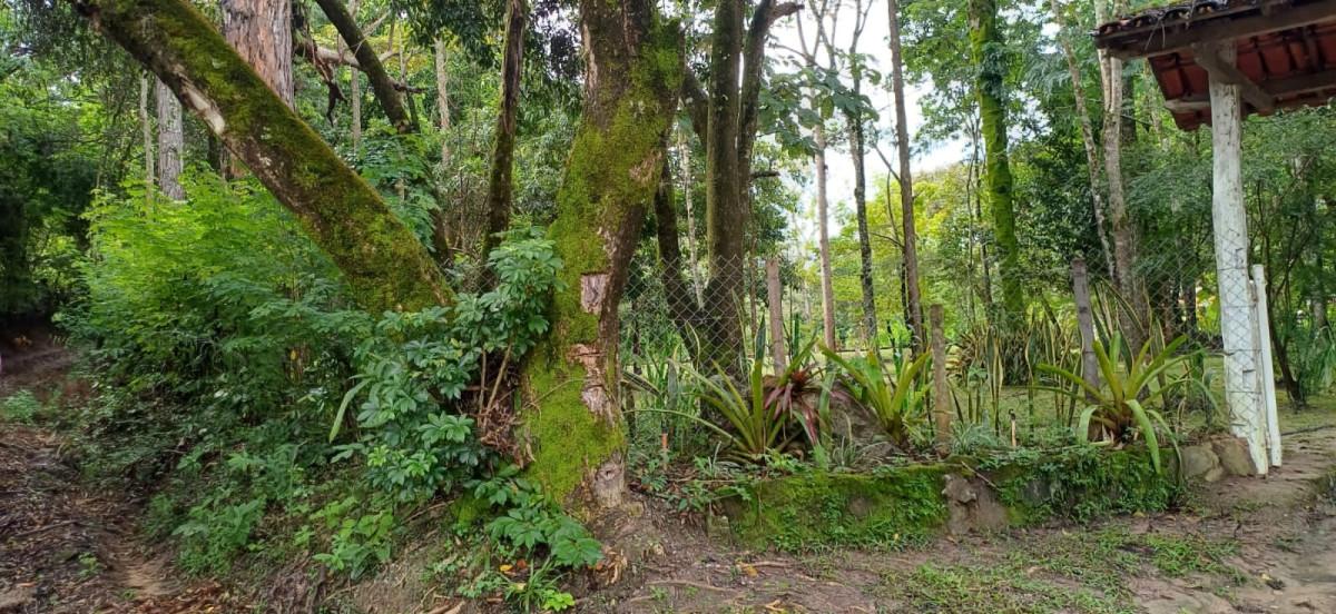 Sítio, 3 quartos, 2 hectares - Foto 15