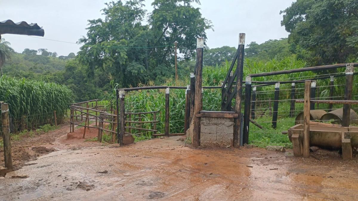 Fazenda, 19 hectares - Foto 17