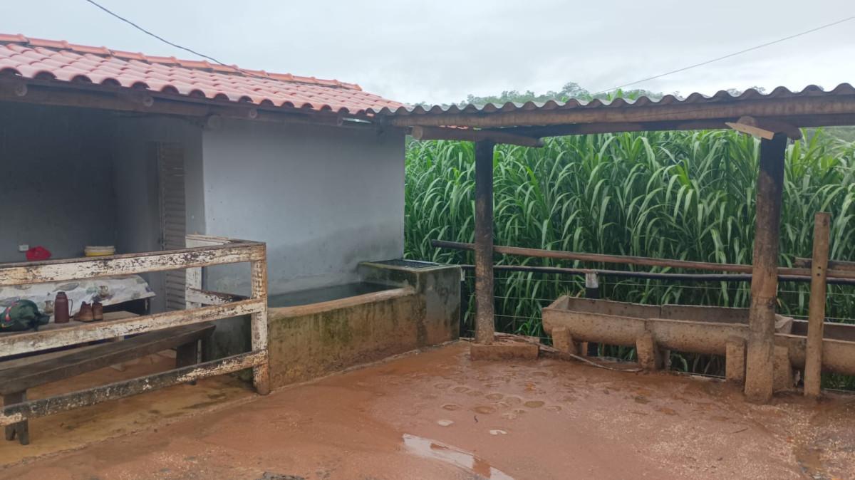 Fazenda, 19 hectares - Foto 18