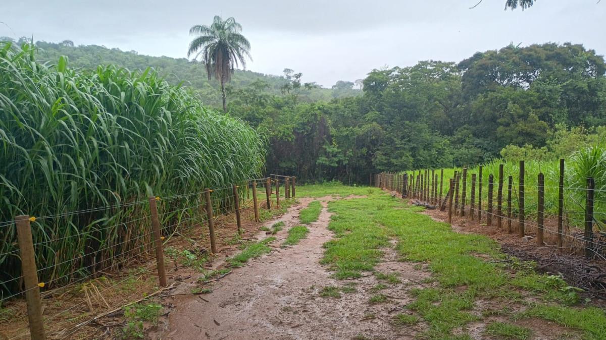 Fazenda, 19 hectares - Foto 19