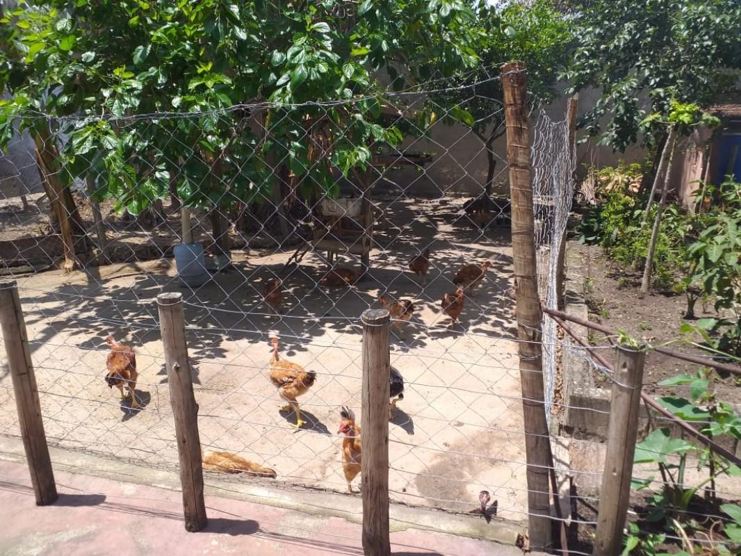 Fazenda, 950 m² - Foto 21