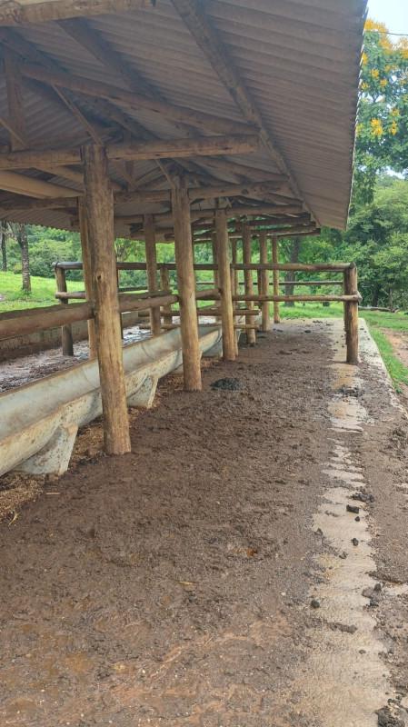 Fazenda, 19 hectares - Foto 22