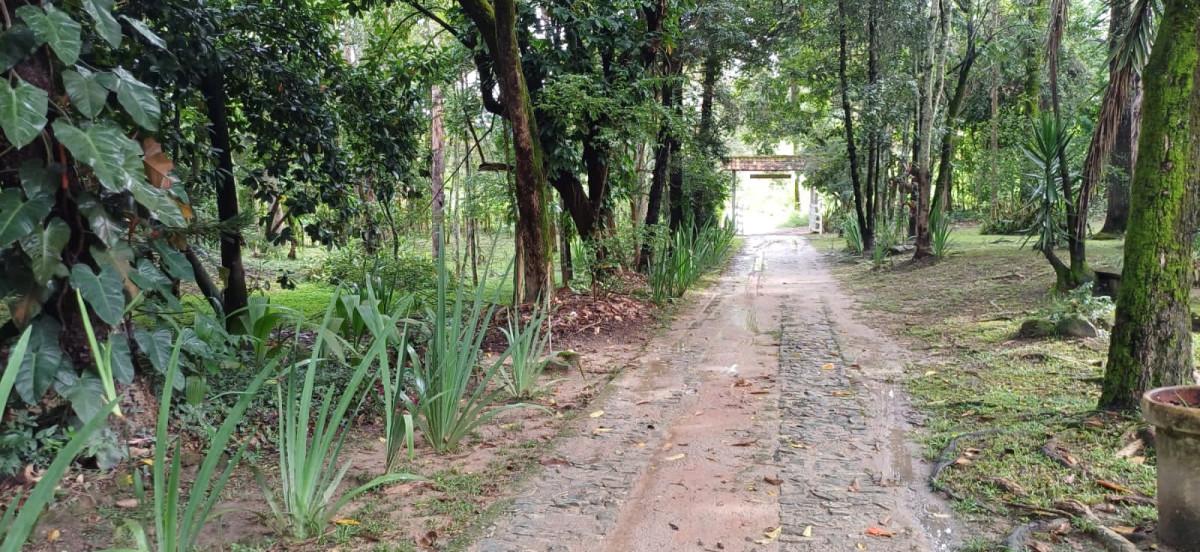 Sítio, 3 quartos, 2 hectares - Foto 22