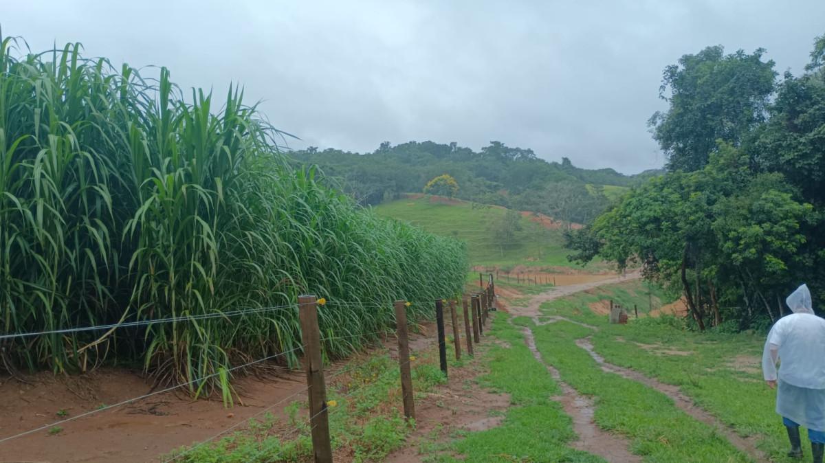 Fazenda, 19 hectares - Foto 23