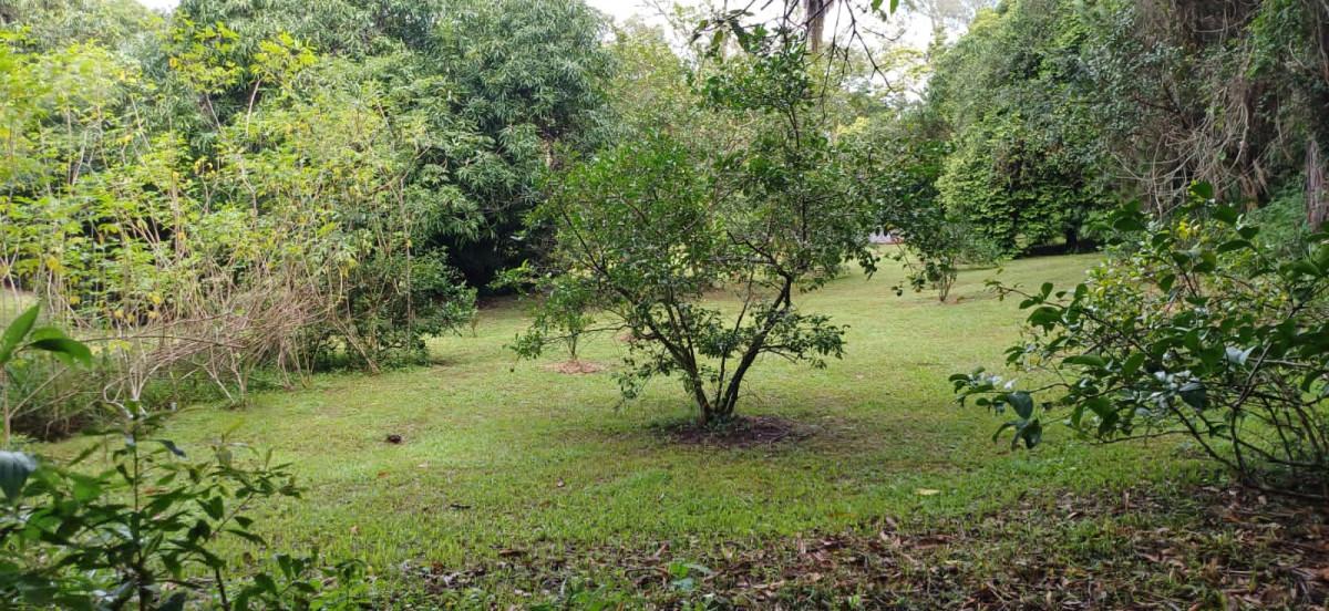 Sítio, 3 quartos, 2 hectares - Foto 25