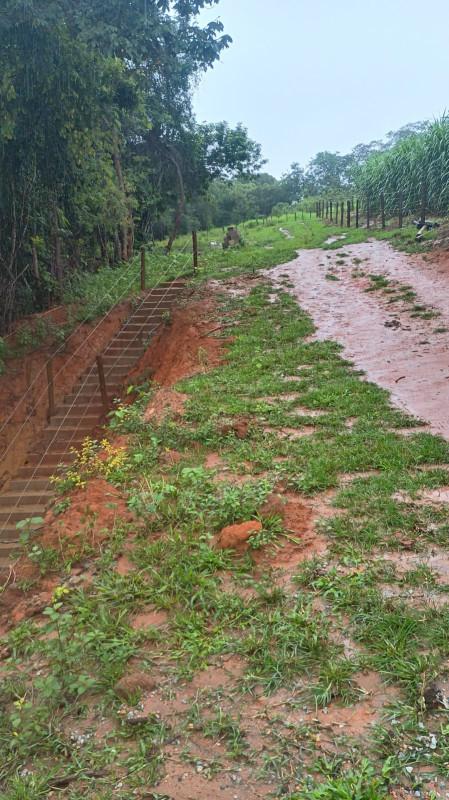 Fazenda, 19 hectares - Foto 27