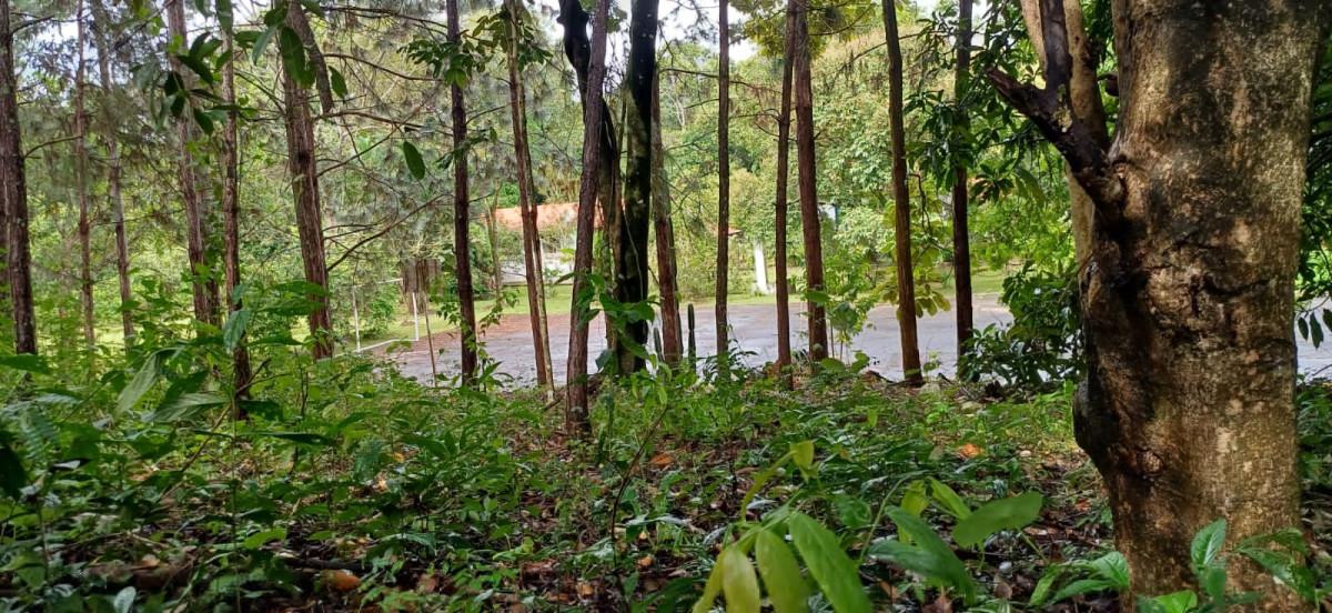 Sítio, 3 quartos, 2 hectares - Foto 28