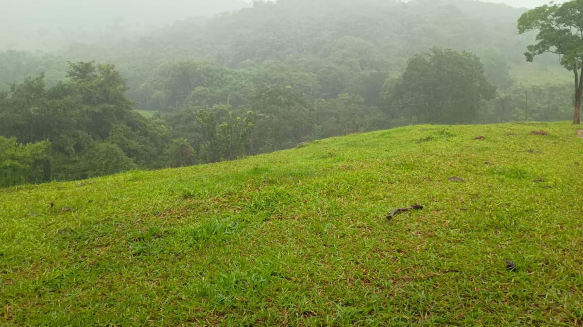 Fazenda, 19 hectares - Foto 29