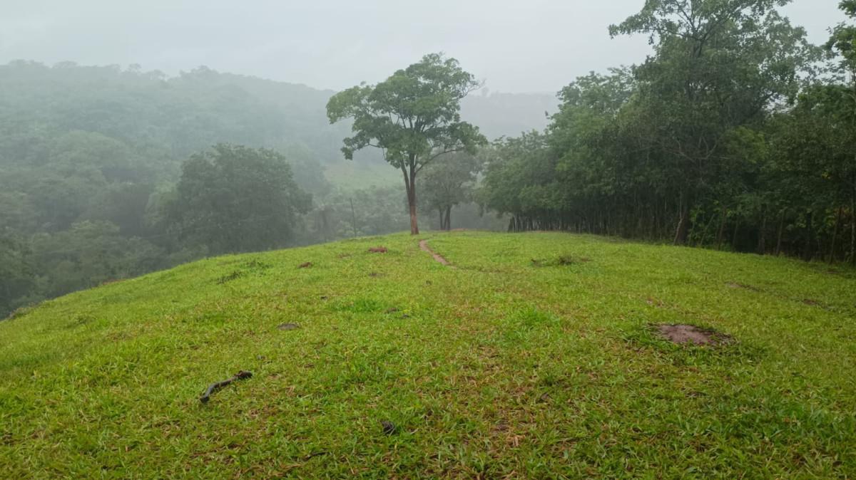 Fazenda, 19 hectares - Foto 31