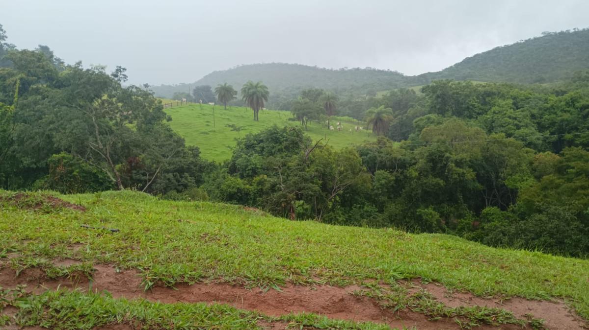 Fazenda, 19 hectares - Foto 32