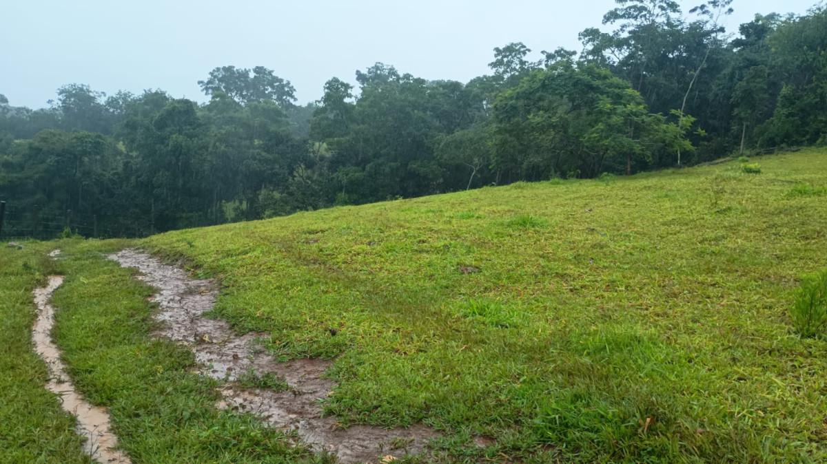 Fazenda, 19 hectares - Foto 34