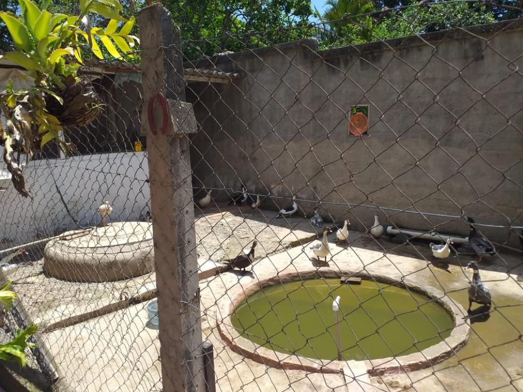 Fazenda, 950 m² - Foto 36
