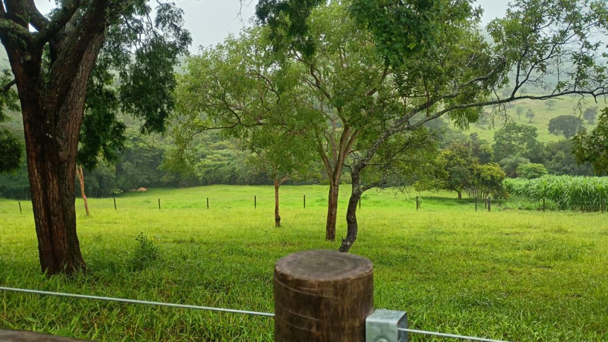 Fazenda, 19 hectares - Foto 36