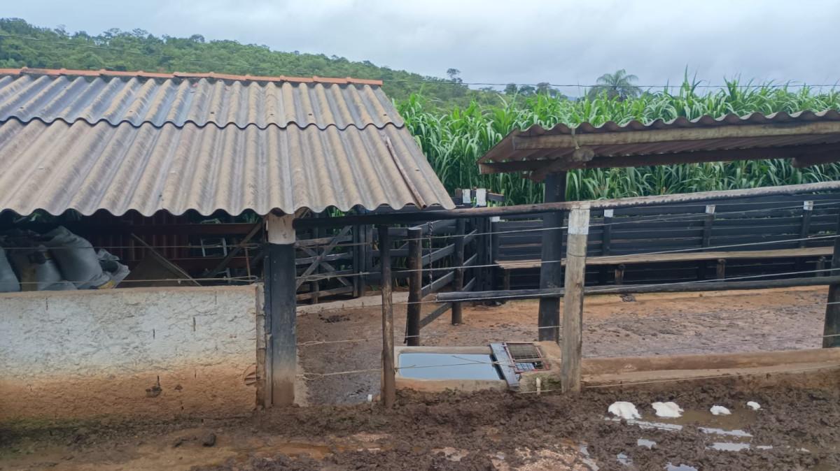 Fazenda, 19 hectares - Foto 3