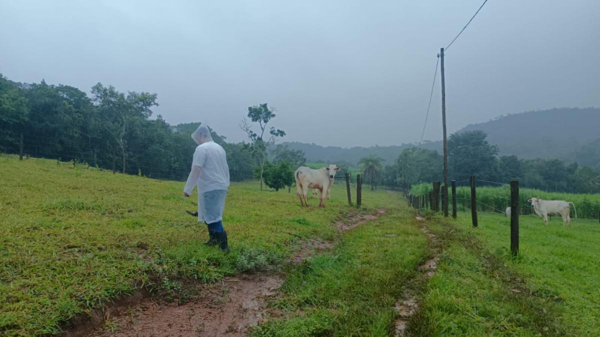 Fazenda, 19 hectares - Foto 37
