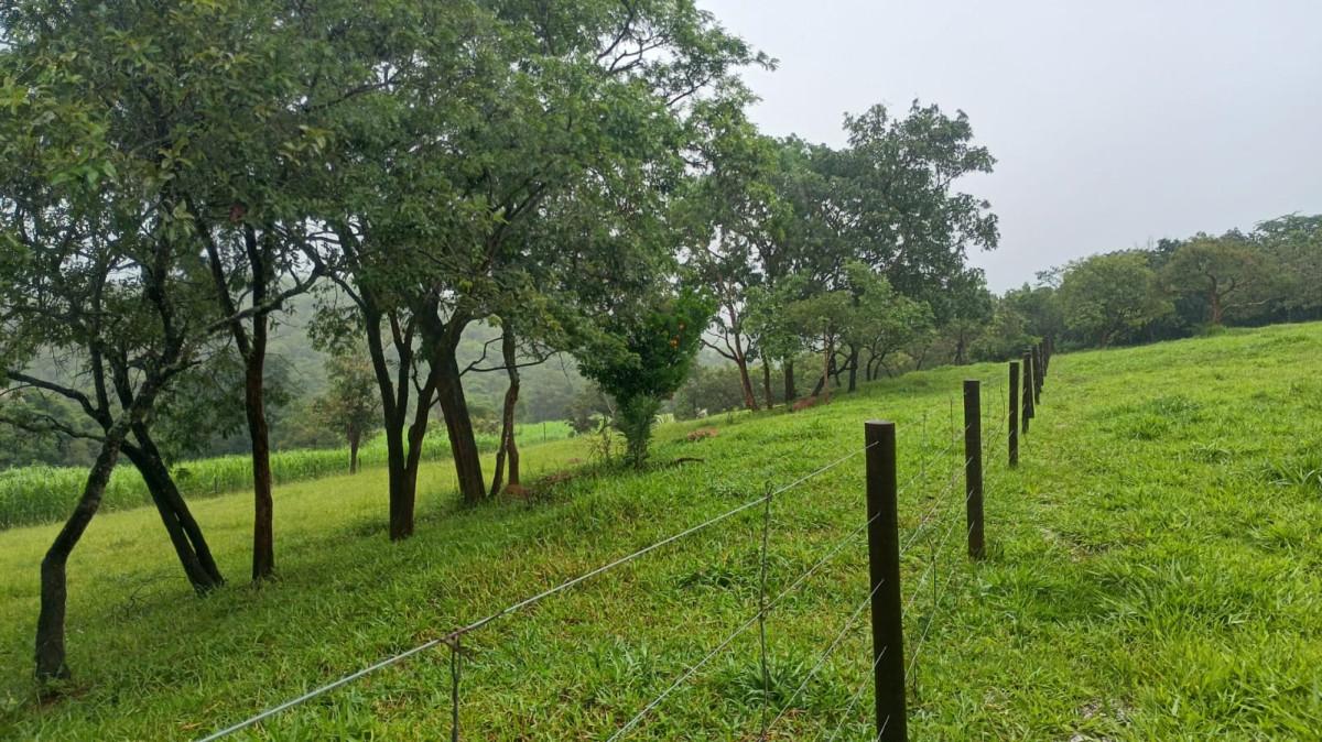 Fazenda, 19 hectares - Foto 39