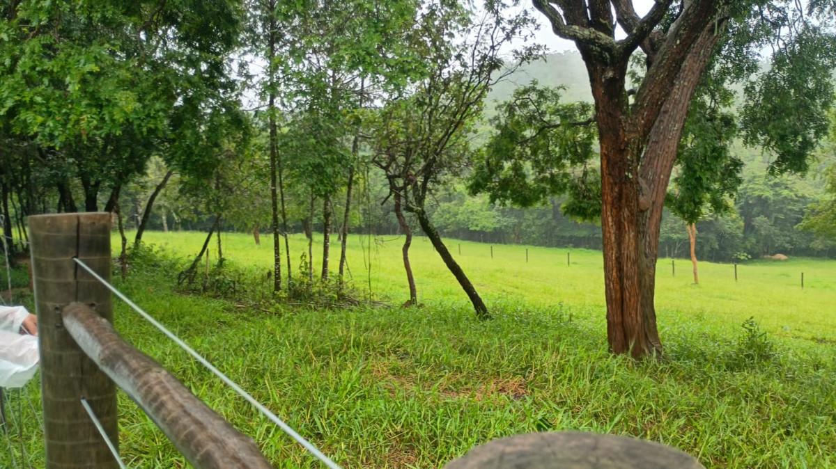 Fazenda, 19 hectares - Foto 40