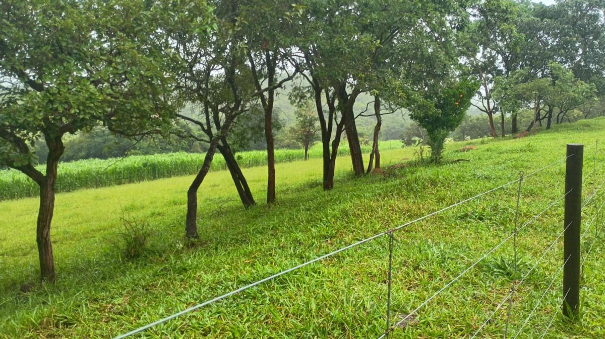 Fazenda, 19 hectares - Foto 41