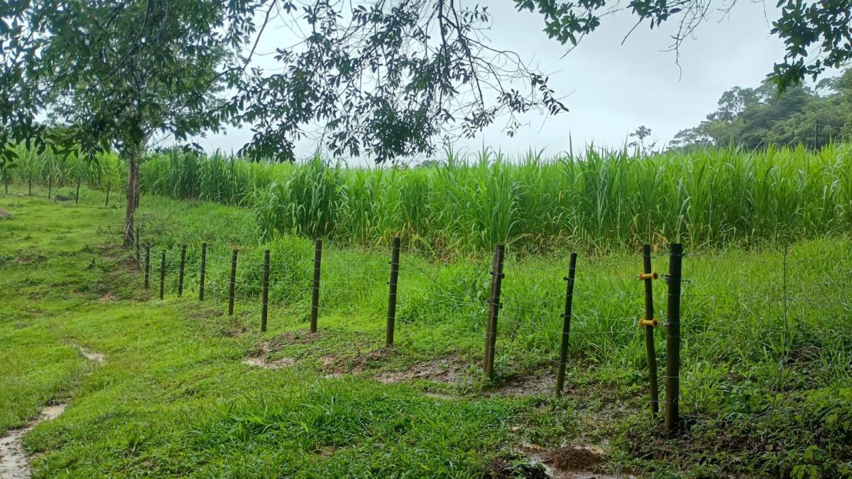 Fazenda, 19 hectares - Foto 42