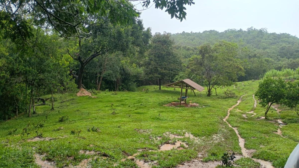 Fazenda, 19 hectares - Foto 44