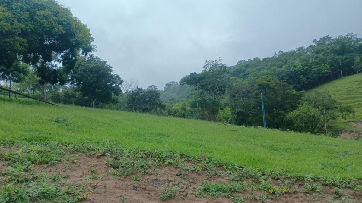 Fazenda, 19 hectares - Foto 45