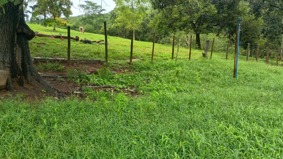 Fazenda, 19 hectares - Foto 46