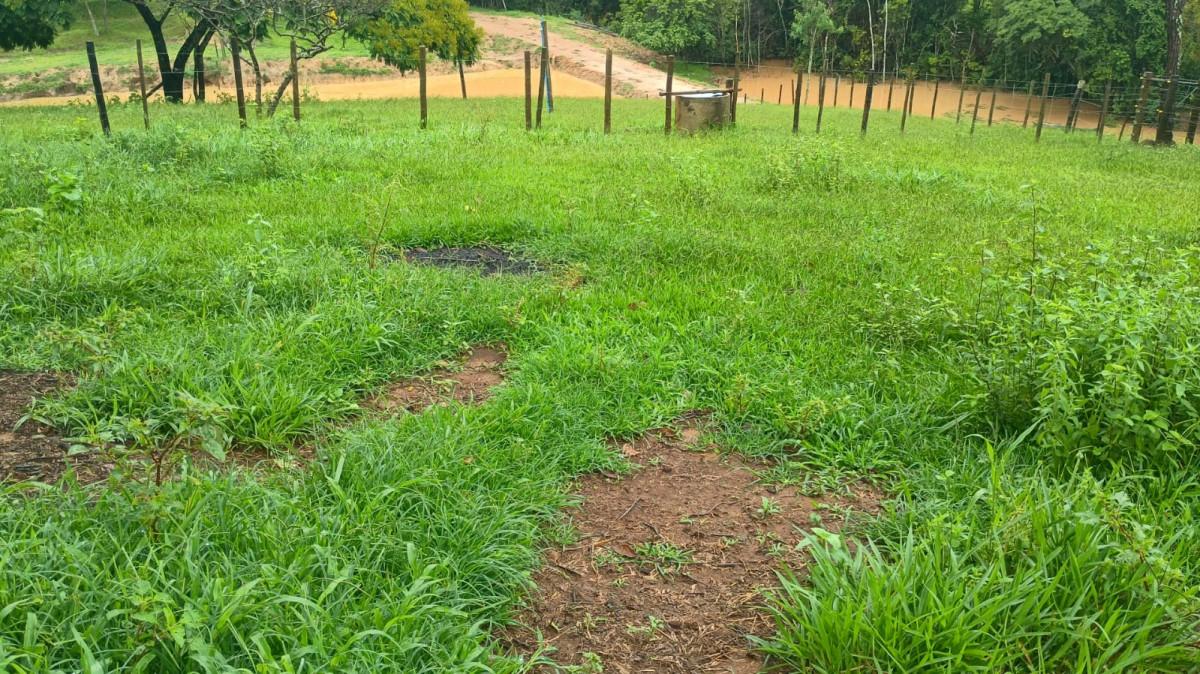 Fazenda, 19 hectares - Foto 47
