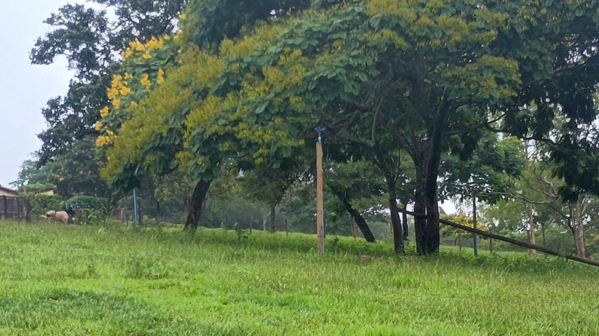Fazenda, 19 hectares - Foto 48