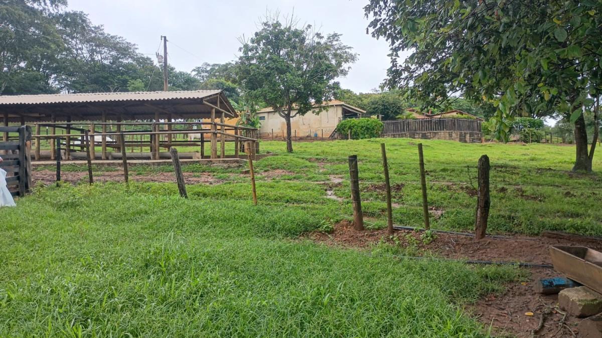 Fazenda, 19 hectares - Foto 49