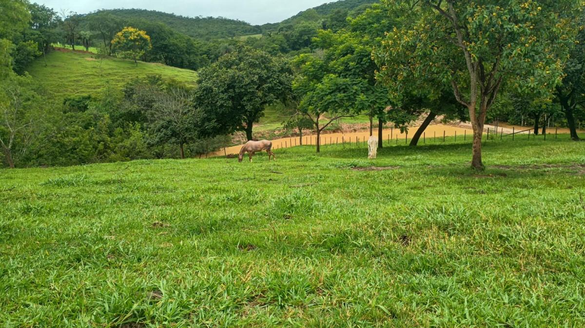 Fazenda, 19 hectares - Foto 52