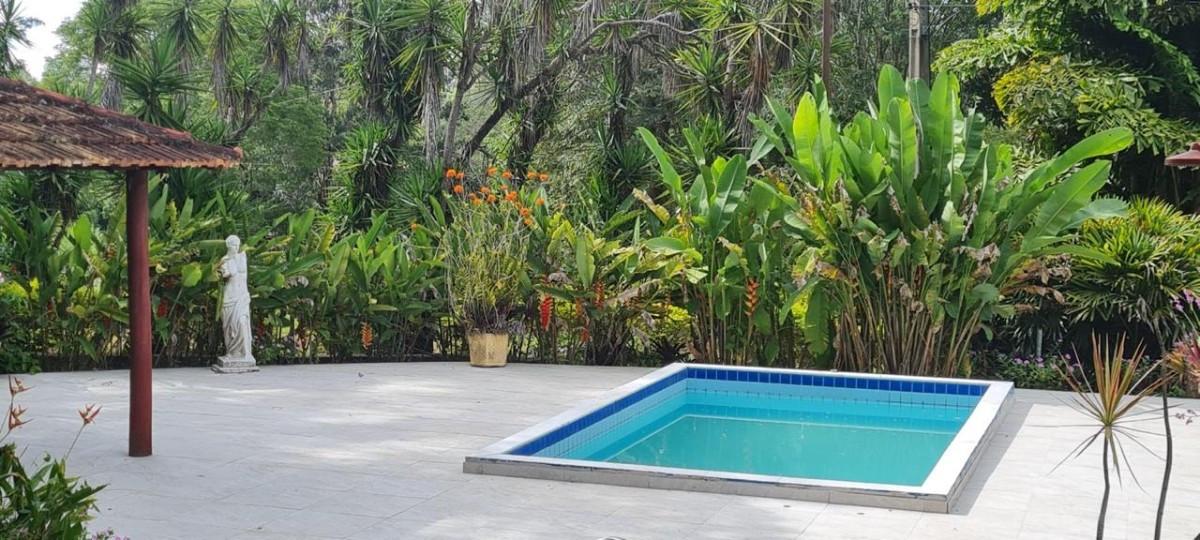 Sítio, 3 quartos, 5000 m² - Foto 6