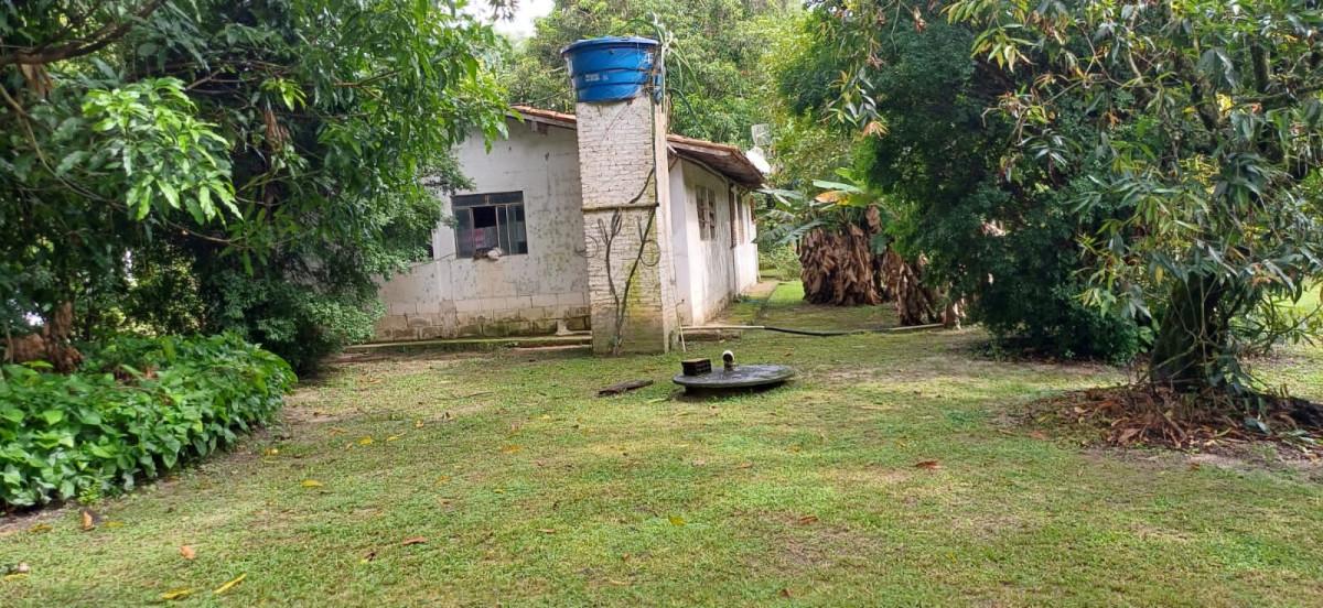 Sítio, 3 quartos, 2 hectares - Foto 7