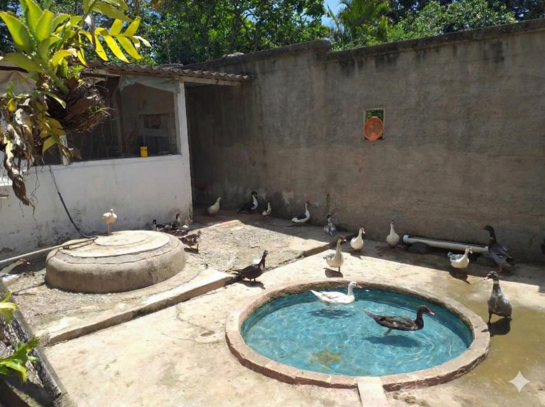 Fazenda, 950 m² - Foto 7