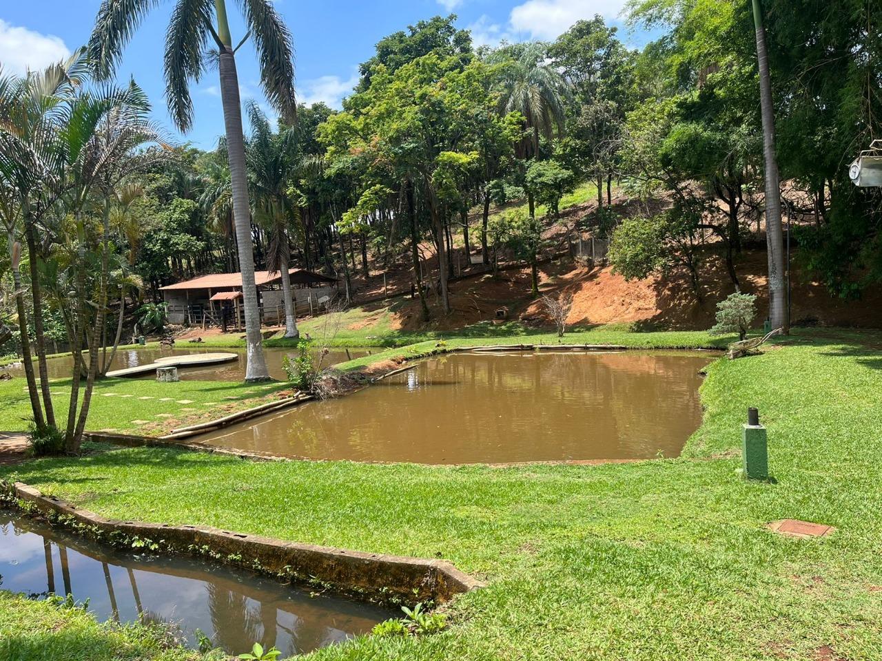 Sítio, 4 quartos, 2 hectares - Foto 13