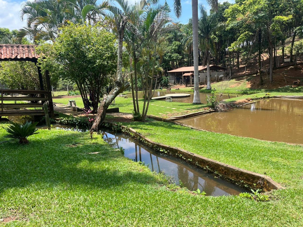 Sítio, 4 quartos, 2 hectares - Foto 15