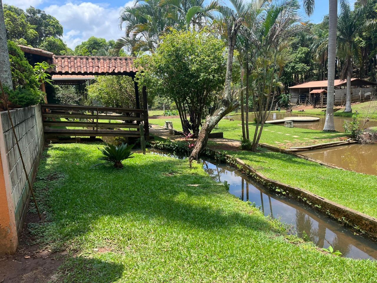 Sítio, 4 quartos, 2 hectares - Foto 17