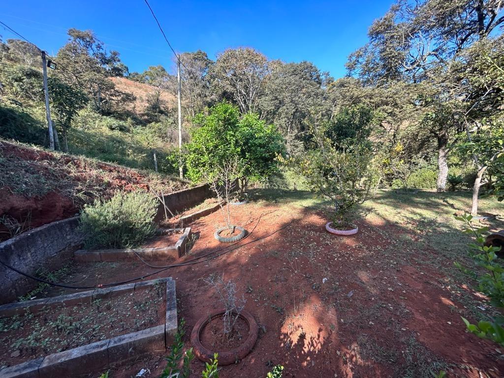 Sítio, 3 quartos, 5000 m² - Foto 11
