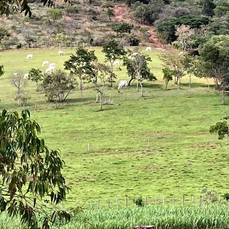 Fazenda, 53 hectares - Foto 10