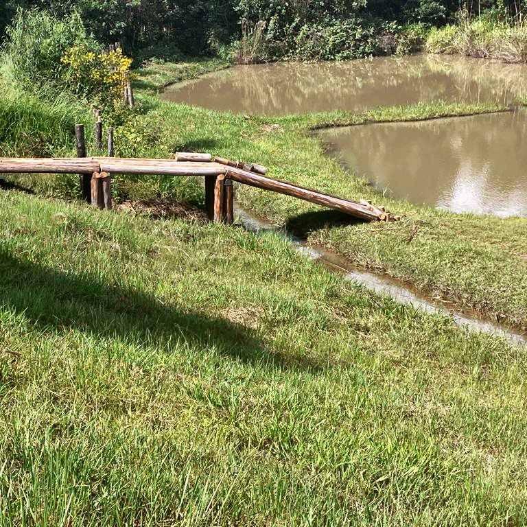 Fazenda, 53 hectares - Foto 14