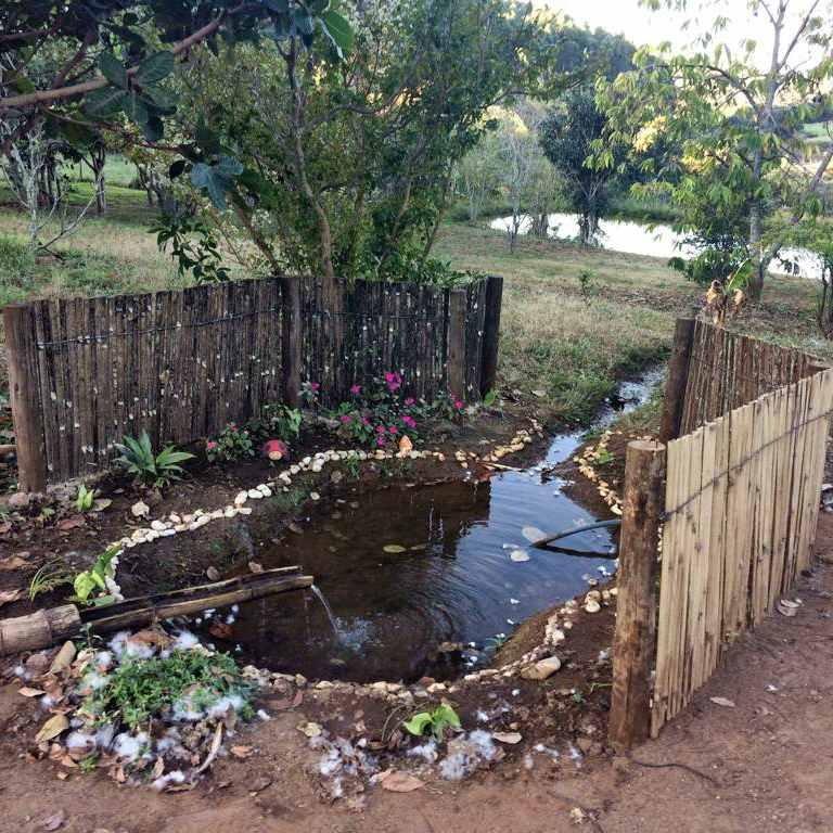 Fazenda, 53 hectares - Foto 20