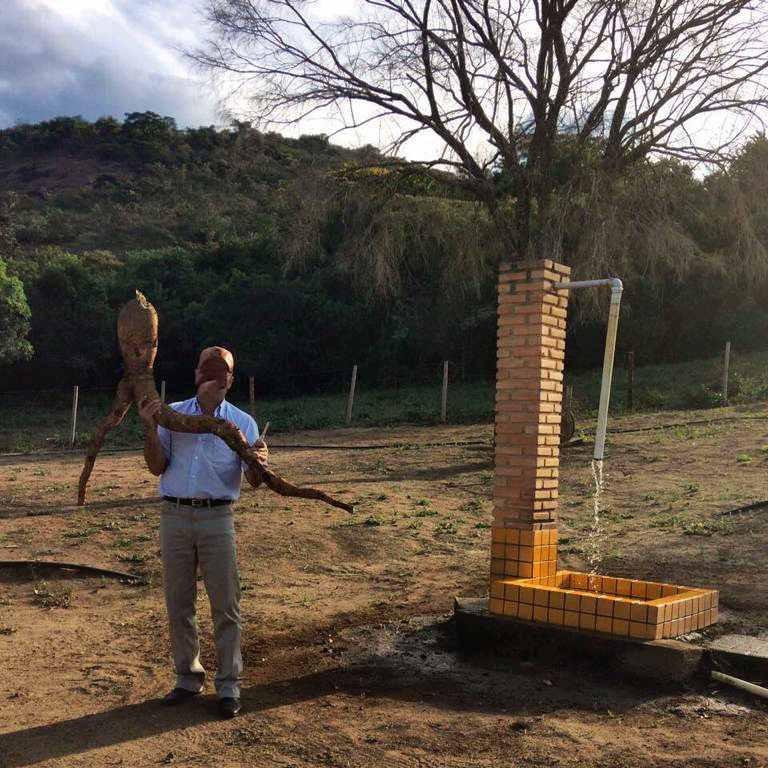 Fazenda, 53 hectares - Foto 21